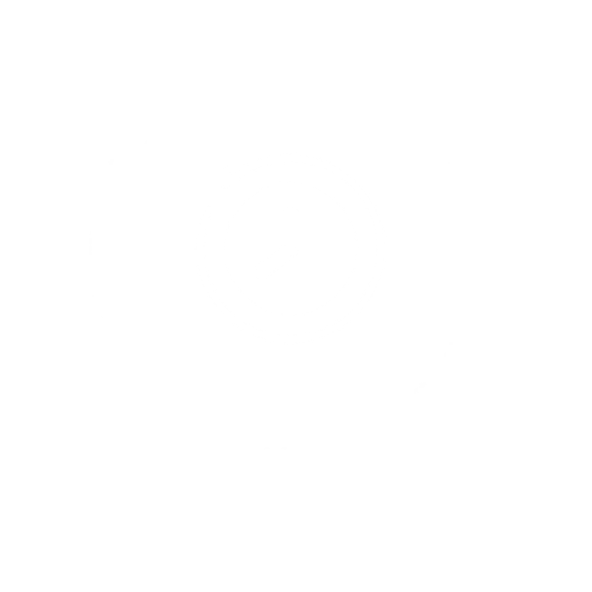 Execution-sevices-image